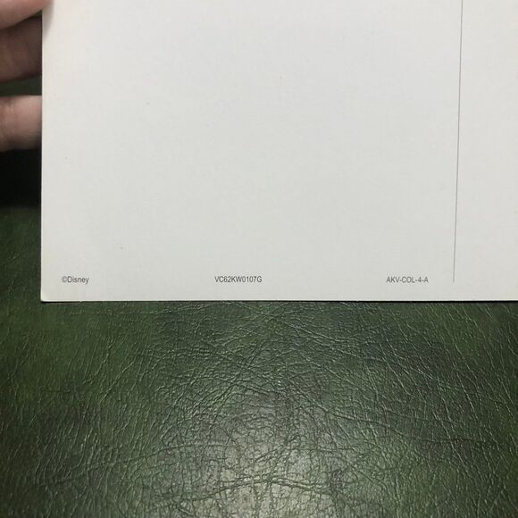 New Oversized Disney’s Animal Kingdom Villas Postcard, Vacation Club; Zebras - Picture 9 of 11